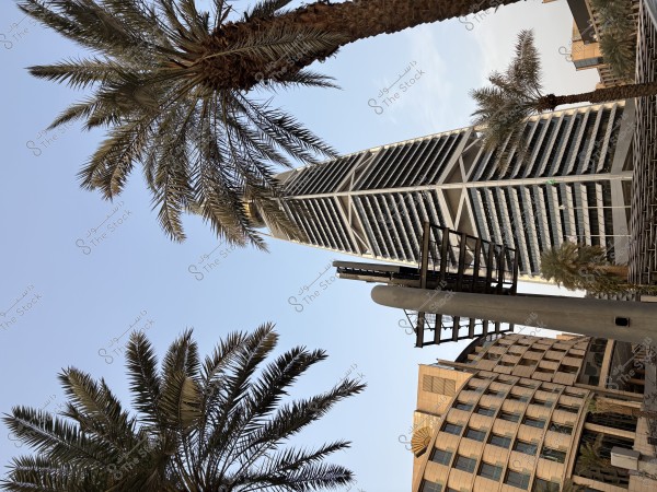 The image shows a tall building with modern architectural design, surrounded by palm trees at the bottom. The sky is clear and blue, and the building stands prominent in the scene. Other lower-rise buildings appear on the right of the image.