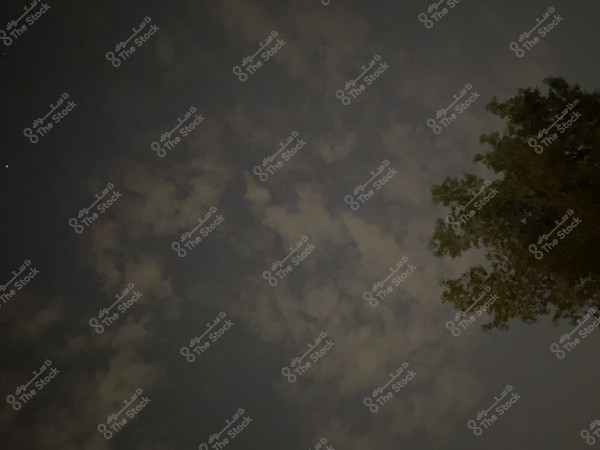سماء ليلية مع غيوم وبعض النجوم, وشجرة تظهر على الجانب الأيمن.