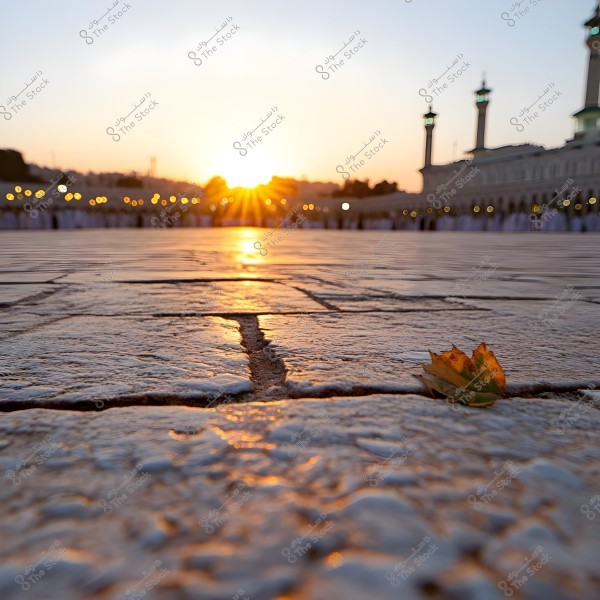 An image depicting an autumn leaf on a stone ground, with a view of the Great Mosque of Mecca during sunset. The golden sunlight reflects off the ground and the historic walls, with tall minarets visible in the background.