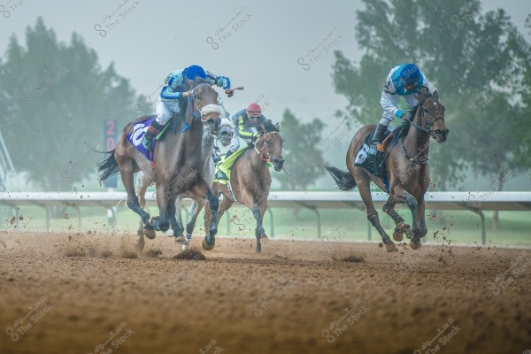 منافسة سباق خيول على مضمار رملي, يظهر فيها عدد من الفرسان يرتدون أزياء سباق ملونة, متقدمين على حصانين رئيسيين في المقدمة, بينما تتطاير الرمال حولهم. في الخلفية, تبدو الأشجار في ضباب خفيف, مع رقم يبدو على إحدى اللوحات.