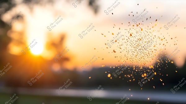 An image of dust particles floating in the air with a sunrise in the background. The dust particles are scattered randomly and glow with golden hues in the sunlight. The blurred background features a natural landscape with warm color gradients of orange, yellow, and pink.