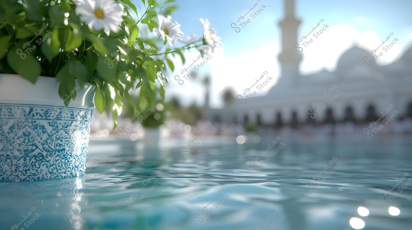 An image showing a white flower pot with blue patterns, featuring white flowers and green leaves, placed next to a water body with a close-up view. In the blurred background, there is a white building resembling a mosque, with a minaret and domes. The sky is clear blue with some clouds.
