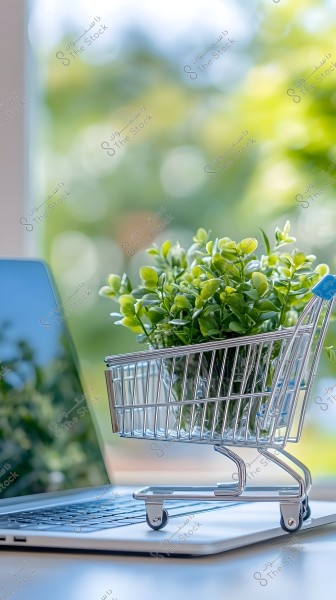 A small metal shopping cart containing green plants placed on top of an open laptop, with a blurry green natural background outside.