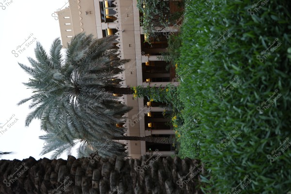 The image shows the facade of a multi-story building with traditional architectural elements, surrounded by palm trees and dense green foliage. The garden features yellow flowers, adding to the tranquil and calming atmosphere.