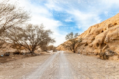 السماء و الزرقاء و الغيوم المتقطعة غلى طريق بري حوله مجموعة من الاشجار