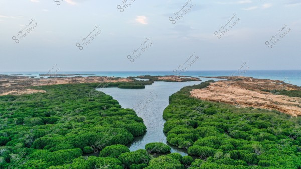 An aerial view of a coastal natural landscape where water bodies merge with dense green vegetation and a series of sandy islands. The sky is light blue in the background, and the deep blue sea can be seen beyond the thick forests.