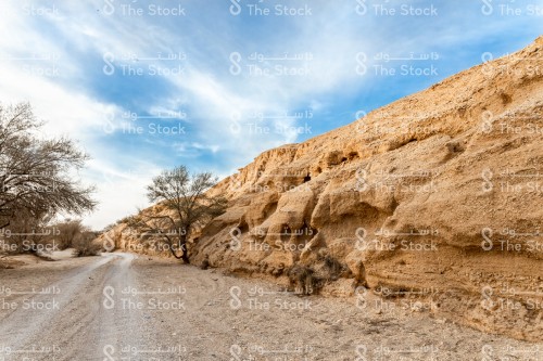 السماء و الزرقاء و الغيوم المتقطعة غلى طريق بري حوله مجموعة من الاشجار