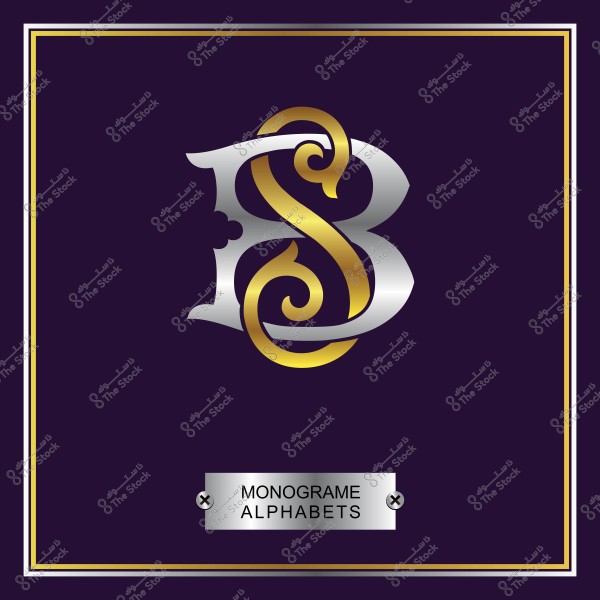 صورة لشعار مزخرف يجمع بين الحرفين B و S بألوان فضية وذهبية, محاط بإطار أنيق وعنوان مكتوب \"MONOGRAM ALPHABETS\".