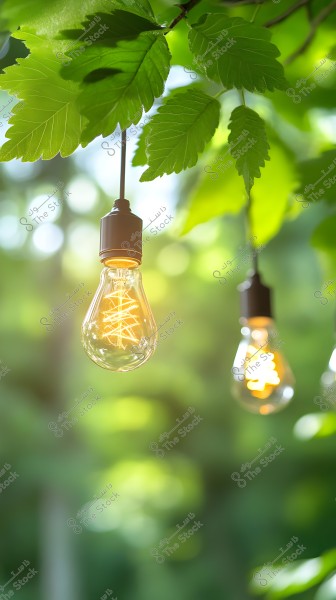 An illuminated light bulb hangs from a tree against a blurred background of green leaves and foliage. The light emits a warm glow, highlighting the beauty of nature in daylight.