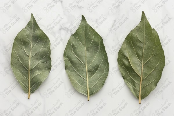 Bay leaves for cooking.