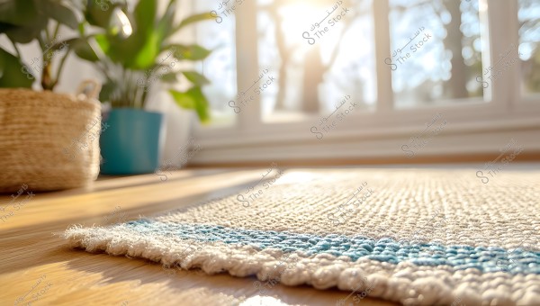 The image shows a sunlit interior scene. In the foreground, a white rug with a blue edge is placed on a wooden floor. In the background, sunlight streams through a large window, brightening the room. Green plants in pots are placed on the floor near the rug.
