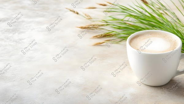 A white cup containing a frothy coffee beverage is placed on a cream-colored surface. In the background, there are green plants with small stalks of grass, adding a natural touch to the image.