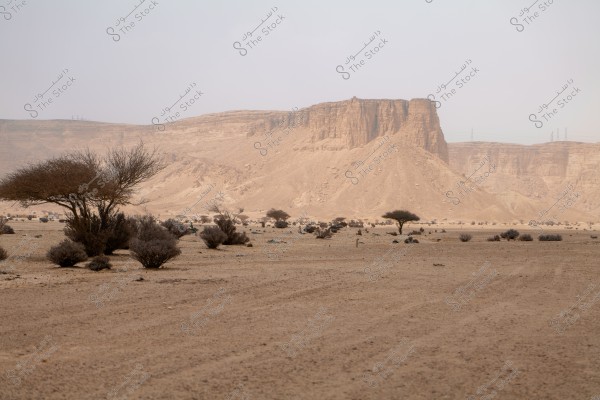 An image of a desert landscape featuring dry sandy hills and scattered trees in the distance. The sky is clear with some clouds, giving a sense of heat and aridity. Vegetation is sparse and scattered, reflecting the harsh conditions of the desert environment.