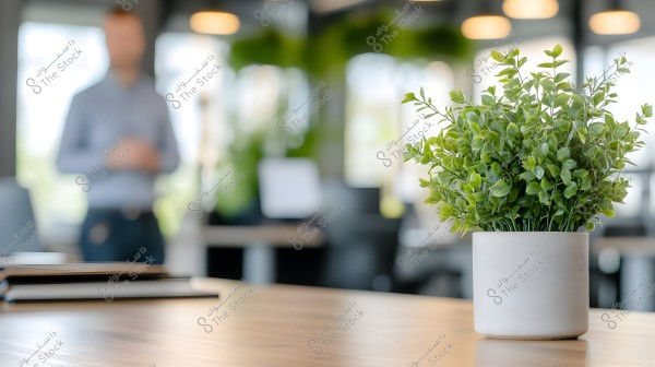 ** A green plant in a white pot on a wooden table inside a modern office. In the background, a blurred figure wearing a soft-colored shirt is visible. Warm lighting and modern workspaces.\r\n\r\n**