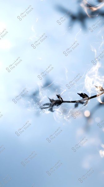 An image showing a delicate tree branch with a few leaves against a soft blue sky. There is a smoky effect surrounding the branch, giving a sense of tranquility and imagination.