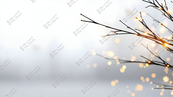 Image of a dry tree branch adorned with small twinkling lights, set against a blurred background with scattered circular light bokeh, creating a warm and enchanting appearance.