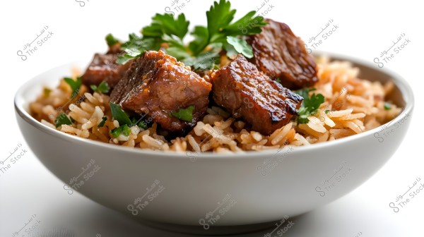 Image of a bowl of rice with pieces of grilled brown meat garnished with parsley. The rice is well-cooked, appearing fluffy and light brown in harmony with the color of the meat. The green parsley adds a touch of natural color to the scene.