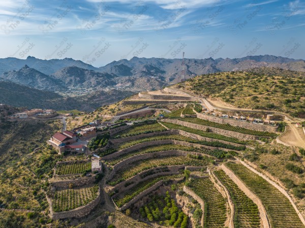 Aerial shot of a series of flower farms and green areas in Dhaka Mountain in Al Shafa, trees, forests, plateaus, nature, Saudi Arabia.