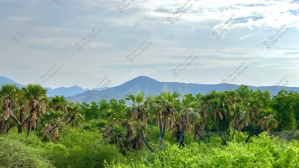 ‏مناظر طبيعية جميلة خلفيات