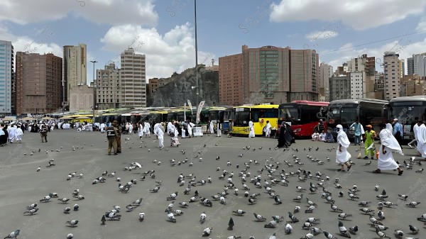 A gathering of Pilgrims near buses in a parking area, with pigeons on the ground and buildings in the background.