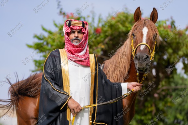 صورة لرجل يقف بجانب حصان بني في الهواء الطلق. الرجل يرتدي الزي التقليدي الخليجي, والذي يتكون من الثوب الأبيض والعباءة السوداء المطرزة بالذهبي والغترة الحمراء والعقال. الحصان يضع لجام مزخرف بالأصفر. في الخلفية تظهر نباتات خضراء مع بعض الأزهار الملونة.