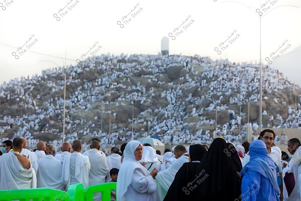 حجاج يرتدون ملابس الإحرام يقفون عند جبل عرفات خلال مناسك الحج.