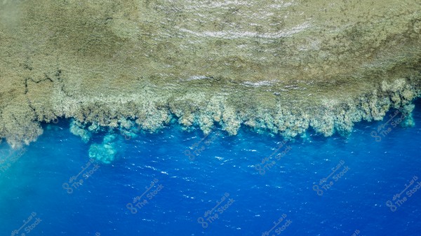 An aerial view of a rocky shoreline meeting the deep blue ocean. The rocky area features uneven terrain and varies in earthy colors, while the clear blue waters shine under the sunlight. The contrast between land and water adds natural beauty to the image.