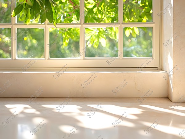 A white glass window overlooking a bright outdoor scene filled with green foliage, with sunlight casting shadows on the windowsill and interior.