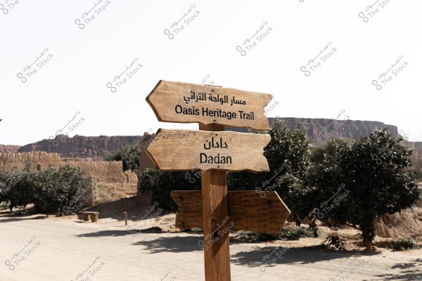 ‏The images showcase various scenes from AlUla Oasis and the Dadan Trail, where breathtaking nature blends harmoniously with traditional architecture. The serene outdoor seating areas, surrounded by palm trees and sandstone mountains, create a perfect backdrop to enjoy the beauty of nature. The mudbrick pathways and old houses highlight the charm of heritage architecture and the intricate details of traditional construction, reflecting AlUla’s rich history.