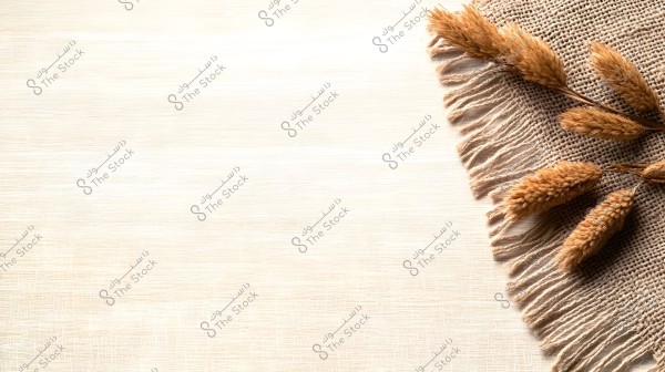 An image of dried grass placed on a beige woven fabric, set on a white wooden surface. The grass is arranged aesthetically and drapes over the fabric.