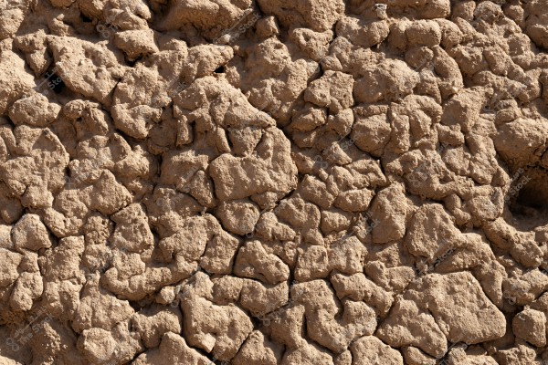 ‏The images showcase various scenes from AlUla Oasis and the Dadan Trail, where breathtaking nature blends harmoniously with traditional architecture. The serene outdoor seating areas, surrounded by palm trees and sandstone mountains, create a perfect backdrop to enjoy the beauty of nature. The mudbrick pathways and old houses highlight the charm of heritage architecture and the intricate details of traditional construction, reflecting AlUla’s rich history.