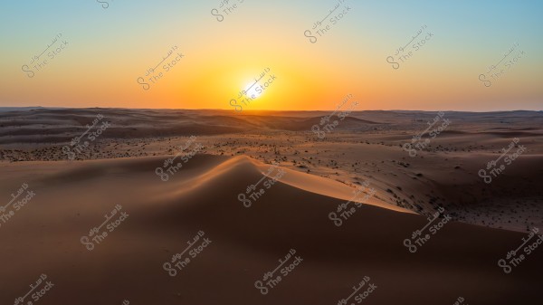A natural landscape of a vast desert during sunset. The distant horizon stretches out with a sky in warm hues of orange and yellow, blending with shades of blue. The sand dunes spread smoothly, dotted with sparse desert vegetation. The warm lighting of the sun creates a serene and soothing atmosphere.