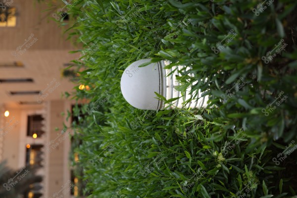 An outdoor light fixture mounted in a green garden filled with dense shrubs with shiny green leaves. In the background, a building is visible with several windows lit by warm yellow lights, creating a cozy atmosphere.