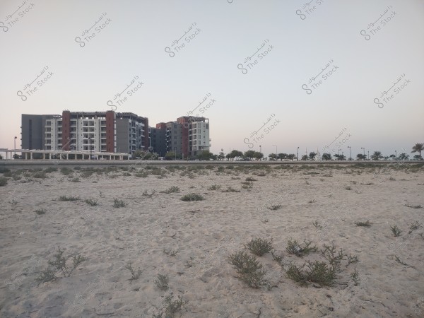 The image shows a view of modern residential buildings with multiple floors in the background, appearing in dark color with brown details. In the foreground, there is a wide area of sandy land with scattered plants. A road runs through the middle of the area, lined with palm trees and streetlights. The sky is clear with soft lighting, suggesting it\'s either sunrise or sunset.