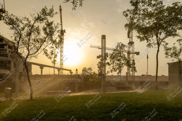 The image shows a landscape during sunrise or sunset, with water spray from sprinklers on the green grass of the foreground park. Scattered trees are present in the park, while in the background, there are construction cranes and buildings under construction beneath the glowing sky.
