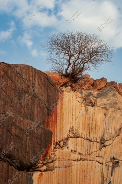 An image of a dry tree standing atop a tall rocky formation. The rocks have noticeable vertical lines and erosion. The background shows a blue sky with scattered white clouds.