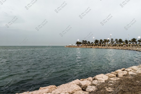 An image of a coastal scene with a cloudy sky and a stone-paved pathway on the right. Trees and palm trees line the shore, illuminated by lamps.
