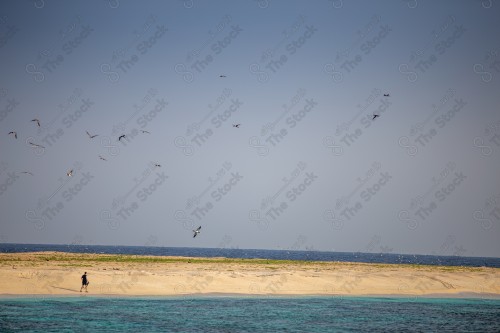 صورة جمالية لمنظر البحر في المملكة العربية السعودية ، خلفية الطبيعة ، المناظر البحرية الهادئة ، الطبيعة البحرية في السعودية.