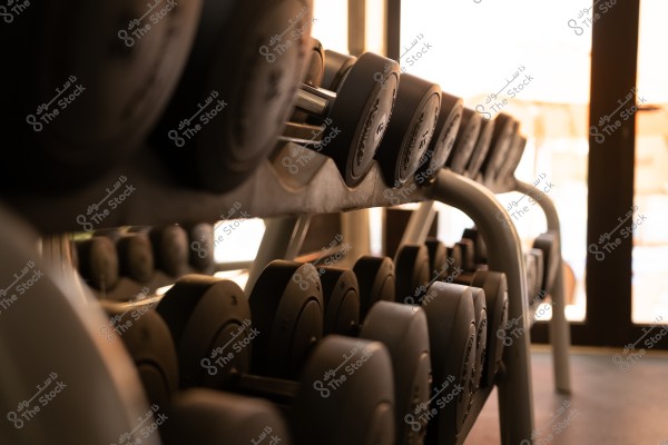 صف من الأوزان الدائرية مرصوصة على حامل معدني في صالة رياضية مضاءة بإضاءة طبيعية من نافذة كبيرة في الخلفية. الإضاءة تضيء الأوزان بشكل جزئي, مما يخلق تأثيراً من الظل والضوء عبر المشهد.