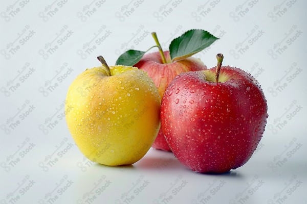 Apple in a studio photography