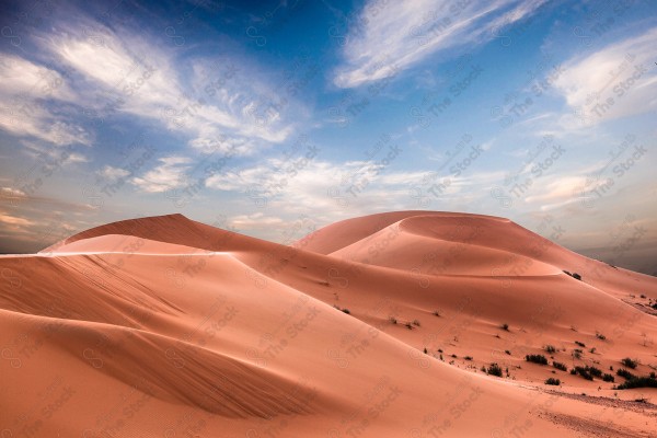 لقطة في وضح النهار من نفود الطوقي في منطقة الرياض، كثبان رملية ذهبية اللون، صحراء السعودية.