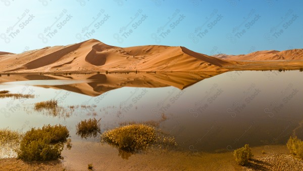 لقطة جمالية للكثبان الرملية الصحراوية وتظهر بحيرة ام الحيش في ربع الخالي بالسعودية ، الرمال الذهبية في صحراء السعودية ، مناطق صحراوية .