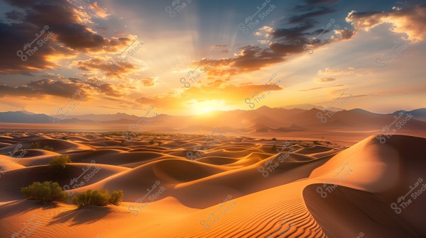 A stunning natural landscape of the desert at sunset, showcasing golden rippling sand dunes with orange sun reflections over them. Sparse vegetation is scattered among the dunes, while mountains appear on the horizon beneath a sky interspersed with glowing clouds.