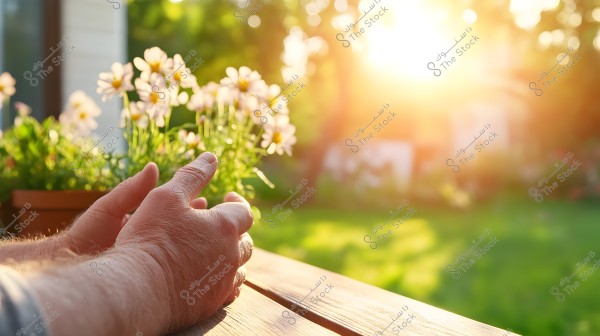 The image shows two hands resting on a wooden table in a garden bathed in warm sunlight. In the background, there are white flowers on green shrubbery and hints of grass and trees illuminated by the sunlight.