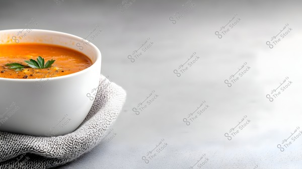An image of a white bowl containing creamy tomato soup, garnished with parsley leaves and some ground black pepper. The bowl is placed on a light gray fabric over a white surface. The background is a soft gray, highlighting the details of the soup and bowl.