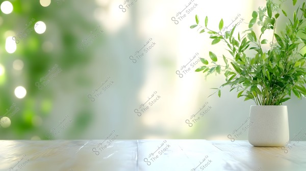 An image of a white pot containing lush green plants placed on a light-colored wooden surface. The background is blurred with soft circular lights and green tints, giving the image a calm and natural ambiance.