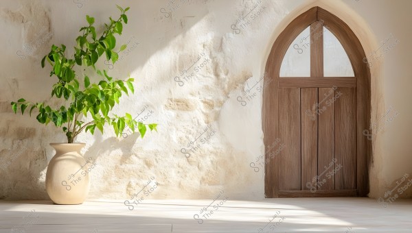 Image of a light-colored stone wall featuring an arched wooden door, next to which is a ceramic vase containing a green plant with lush leaves. The lighting suggests a natural and serene atmosphere.