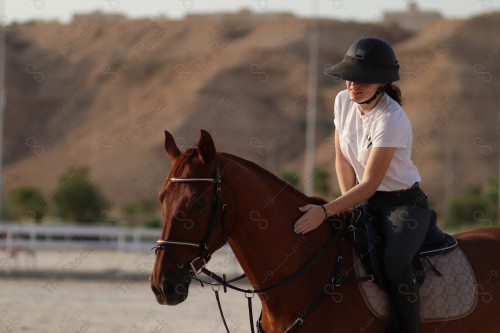 صورة مقربة لفارسة وخيل عربي أصيل ، تربية وتدريب الخيول ، إسطبل الأحصنة ، الخيل العربي الأصيل، الفروسية، هواية ركوب الخيل