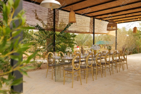 The image depicts an outdoor dining area under a canopy covered with bamboo blinds. The glass table is adorned with white flowers in golden vases and neatly arranged cups. The chairs are gold-colored with an exclusive design, surrounding the table. There are dense green shrubs in the background, adding a natural and serene atmosphere to the setting.