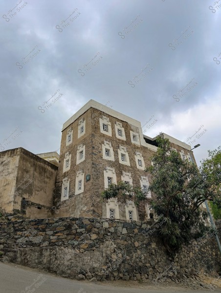 مبنى تقليدي من الحجر والطين يظهر في الصورة, يتكون من عدة طوابق ونوافذ مزخرفة, ويحيط به جدار حجري. السماء ملبدة بالغيوم, ويوجد شجرة كبيرة بجانب المبنى. يعكس التصميم الهندسي طابع العمارة في محافظة فيفاء بمنطقة جازان جنوب المملكة العربية السعودية التقليدية.